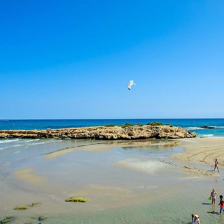 Ferienwohnung El Bosque Playa Flamenca Exterior foto